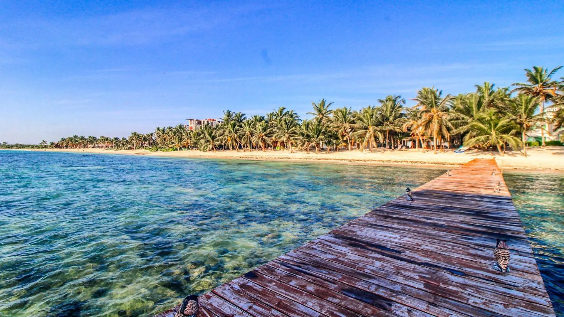 Dom wakacyjny Villa Tankah 7 Cielo Tulum Meksyk